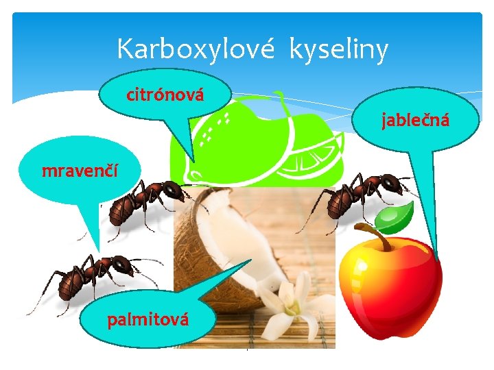 Karboxylové kyseliny citrónová jablečná mravenčí palmitová 4 