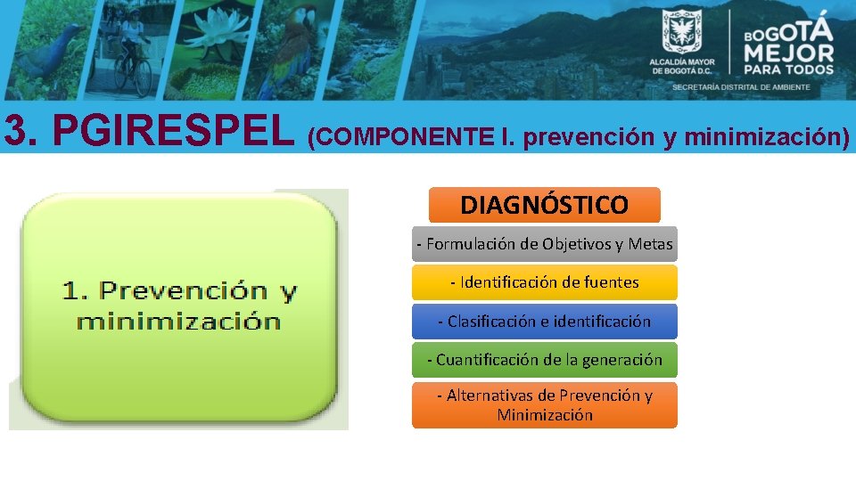 3. PGIRESPEL (COMPONENTE I. prevención y minimización) DIAGNÓSTICO - Formulación de Objetivos y Metas