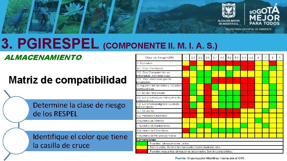 3. PGIRESPEL (COMPONENTE II. M. I. A. S. ) ALMACENAMIENTO Matriz de compatibilidad Determine