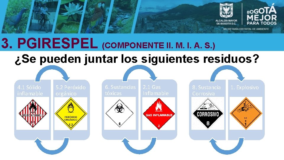 3. PGIRESPEL (COMPONENTE II. M. I. A. S. ) ¿Se pueden juntar los siguientes