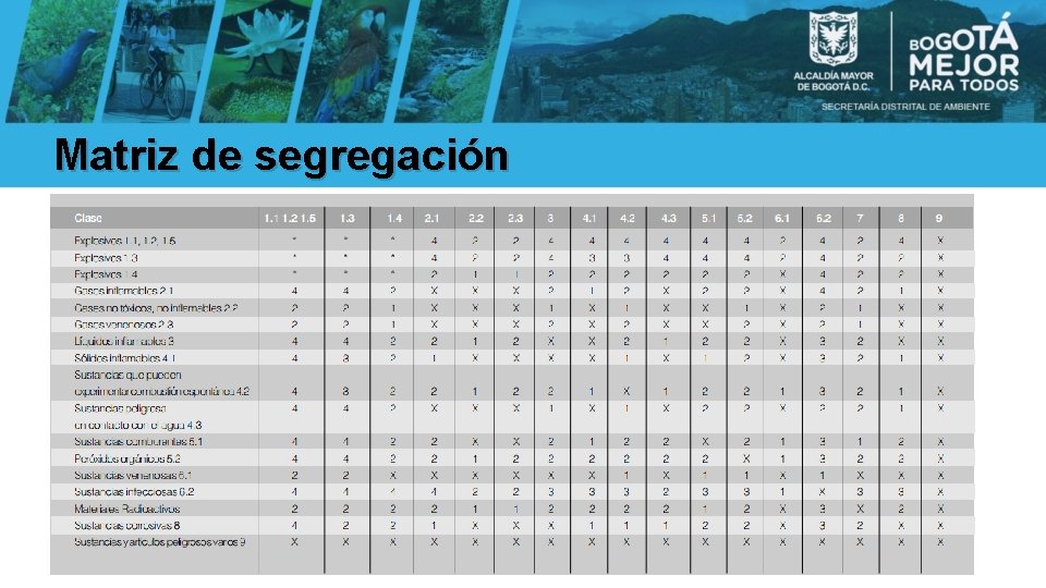 Matriz de segregación 