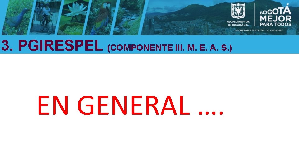 3. PGIRESPEL (COMPONENTE III. M. E. A. S. ) EN GENERAL …. 