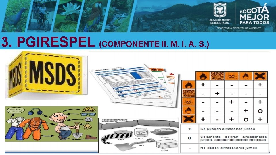 3. PGIRESPEL (COMPONENTE II. M. I. A. S. ) 
