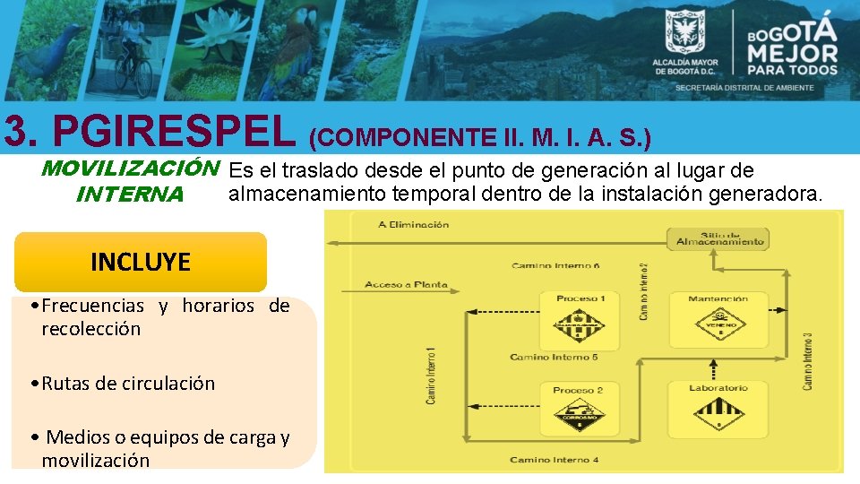 3. PGIRESPEL (COMPONENTE II. M. I. A. S. ) MOVILIZACIÓN Es el traslado desde