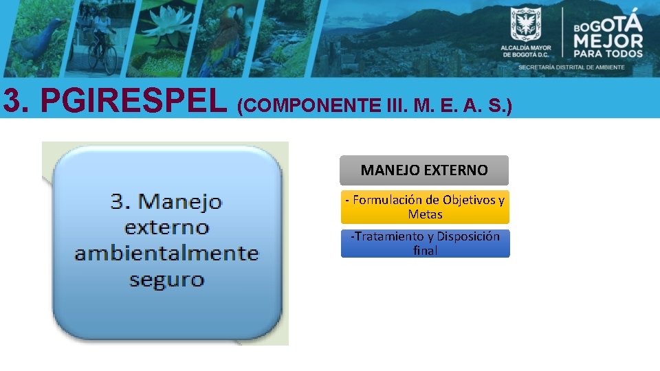 3. PGIRESPEL (COMPONENTE III. M. E. A. S. ) MANEJO EXTERNO - Formulación de