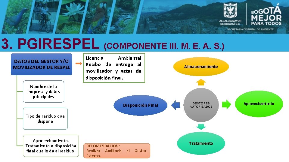 3. PGIRESPEL (COMPONENTE III. M. E. A. S. ) DATOS DEL GESTOR Y/O MOVILIZADOR