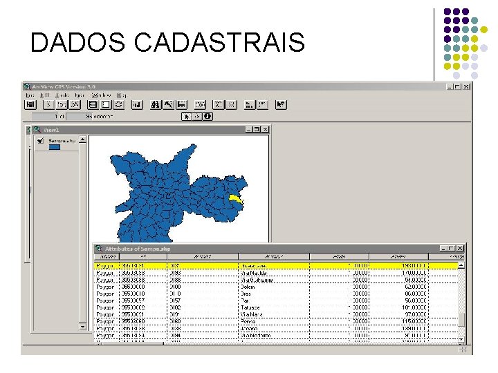 DADOS CADASTRAIS 