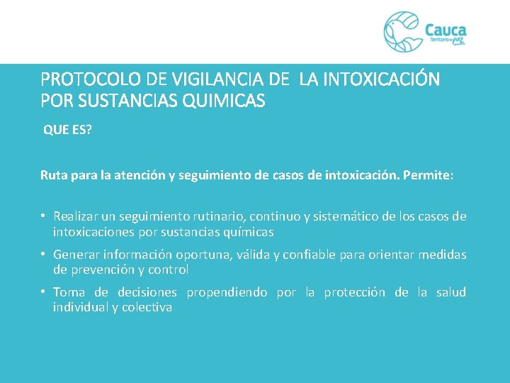 PROTOCOLO DE VIGILANCIA DE LA INTOXICACIÓN POR SUSTANCIAS QUIMICAS QUE ES? Ruta para la
