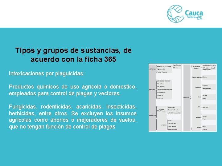 Tipos y grupos de sustancias, de acuerdo con la ficha 365 Intoxicaciones por plaguicidas: