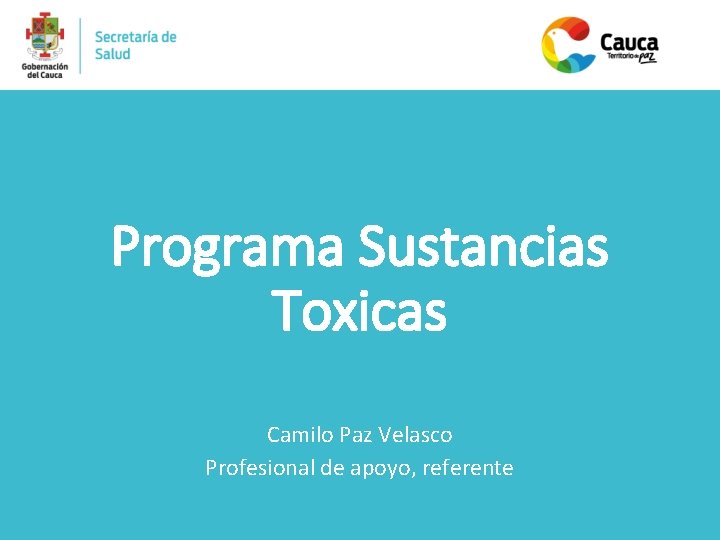 Programa Sustancias Toxicas Camilo Paz Velasco Profesional de apoyo, referente 