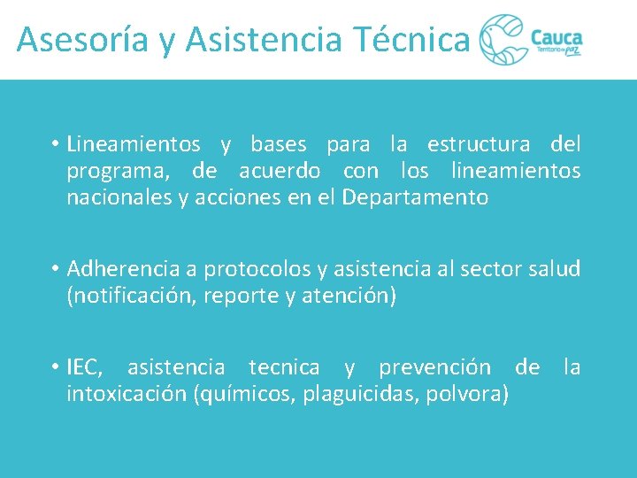 Asesoría y Asistencia Técnica • Lineamientos y bases para la estructura del programa, de