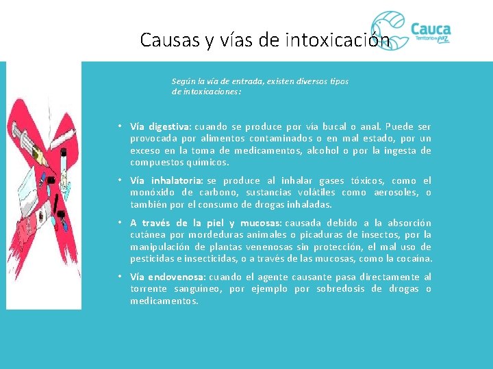 Causas y vías de intoxicación Según la vía de entrada, existen diversos tipos de