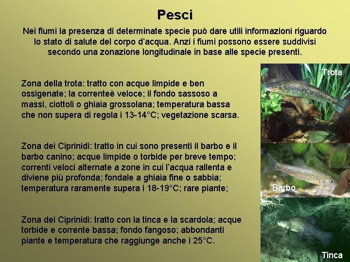 Pesci Nei fiumi la presenza di determinate specie può dare utili informazioni riguardo lo