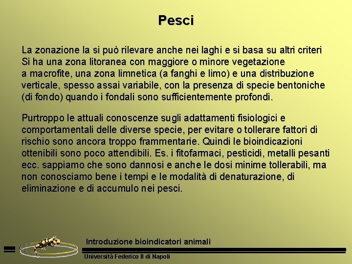 Pesci La zonazione la si può rilevare anche nei laghi e si basa su