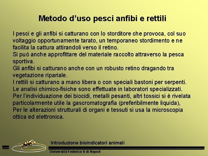 Metodo d’uso pesci anfibi e rettili I pesci e gli anfibi si catturano con