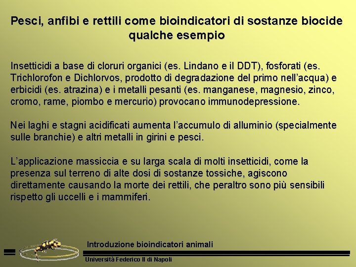 Pesci, anfibi e rettili come bioindicatori di sostanze biocide qualche esempio Insetticidi a base