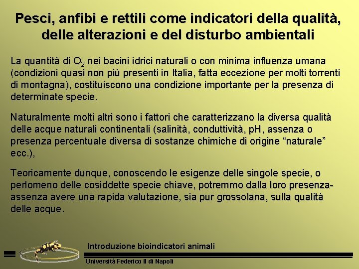 Pesci, anfibi e rettili come indicatori della qualità, delle alterazioni e del disturbo ambientali