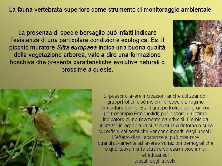 La fauna vertebrata superiore come strumento di monitoraggio ambientale La presenza di specie bersaglio