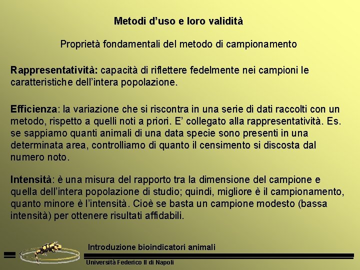 Metodi d’uso e loro validità Proprietà fondamentali del metodo di campionamento Rappresentatività: capacità di