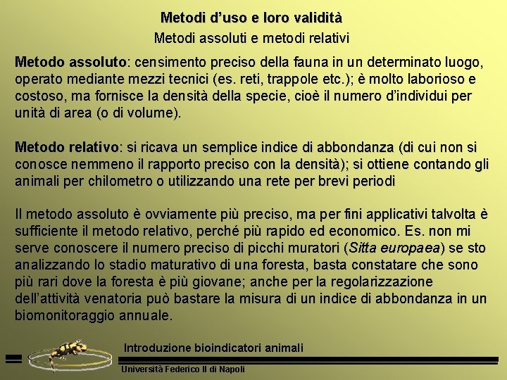 Metodi d’uso e loro validità Metodi assoluti e metodi relativi Metodo assoluto: censimento preciso