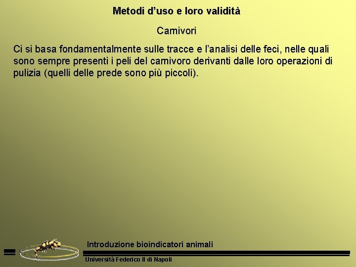 Metodi d’uso e loro validità Carnivori Ci si basa fondamentalmente sulle tracce e l’analisi