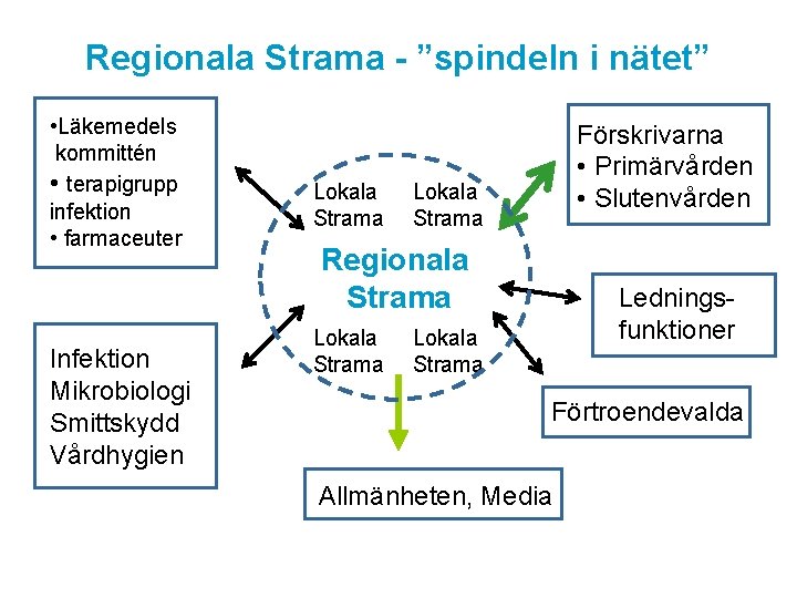 Regionala Strama - ”spindeln i nätet” • Läkemedels kommittén • terapigrupp infektion • farmaceuter