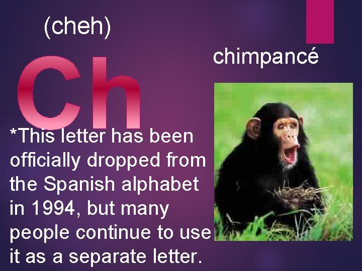  (cheh) chimpancé *This letter has been officially dropped from the Spanish alphabet in