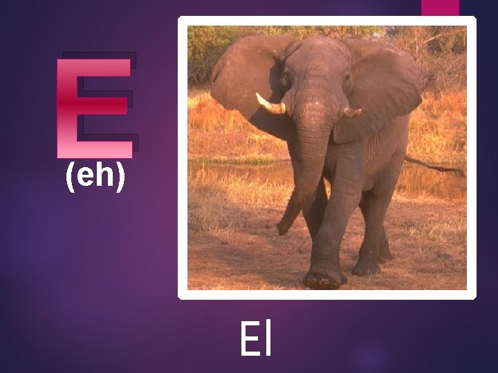 E (eh) El 