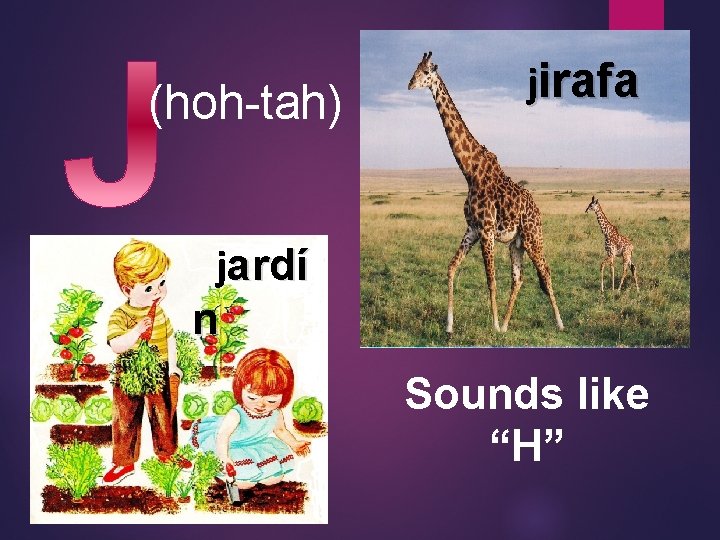 (hoh-tah) jirafa jardí n Sounds like “H” 