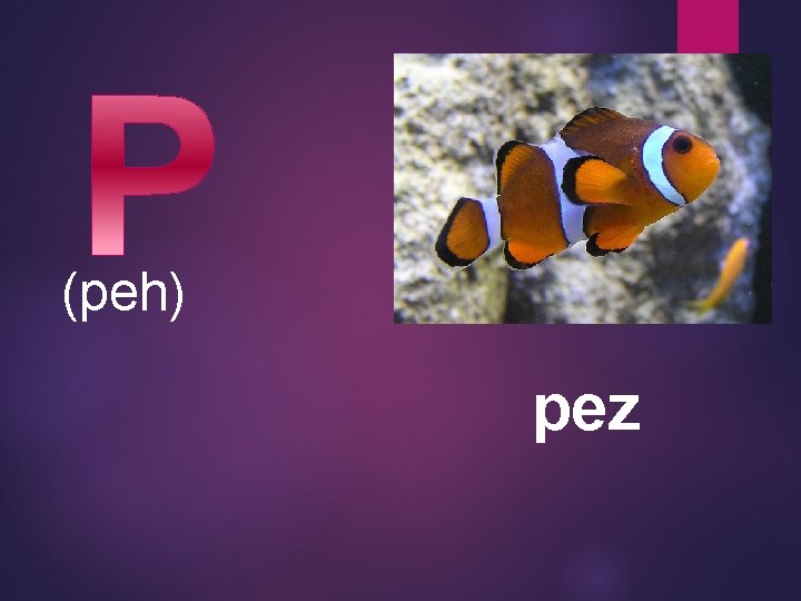 (peh) pez 