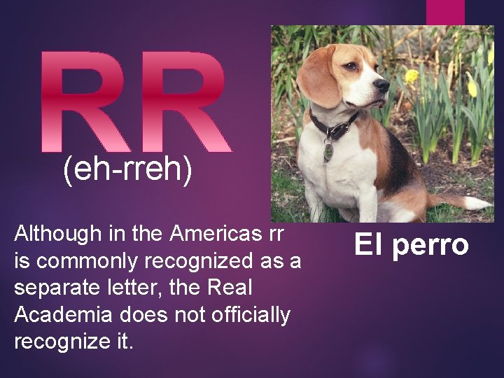 (eh-rreh) Although in the Americas rr is commonly recognized as a separate letter, the