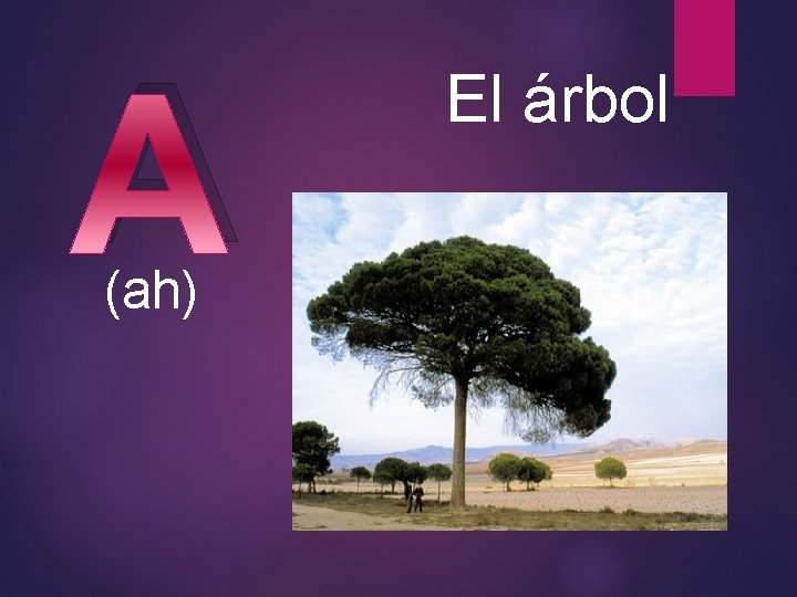 A (ah) El árbol 