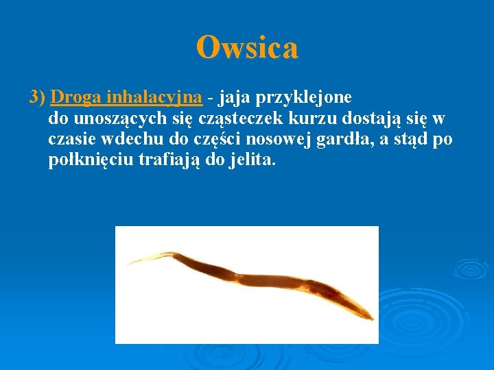 Owsica 3) Droga inhalacyjna - jaja przyklejone do unoszących się cząsteczek kurzu dostają się