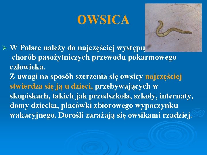 OWSICA Ø W Polsce należy do najczęściej występujących chorób pasożytniczych przewodu pokarmowego człowieka. Z