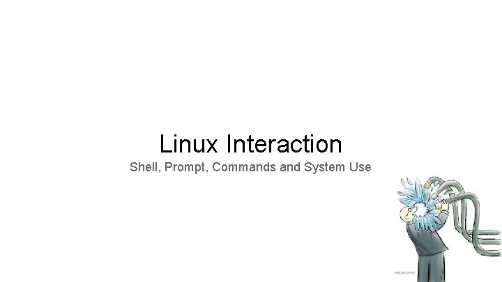 Linux Interaction Shell, Prompt, Commands and System Use 