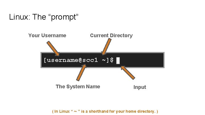 Linux: The “prompt” Your Username Current Directory [username@scc 1 ~]$ The System Name Input