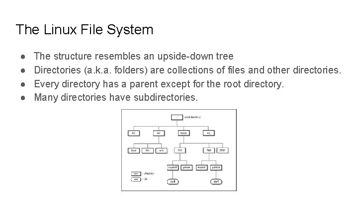 The Linux File System ● ● The structure resembles an upside-down tree Directories (a.