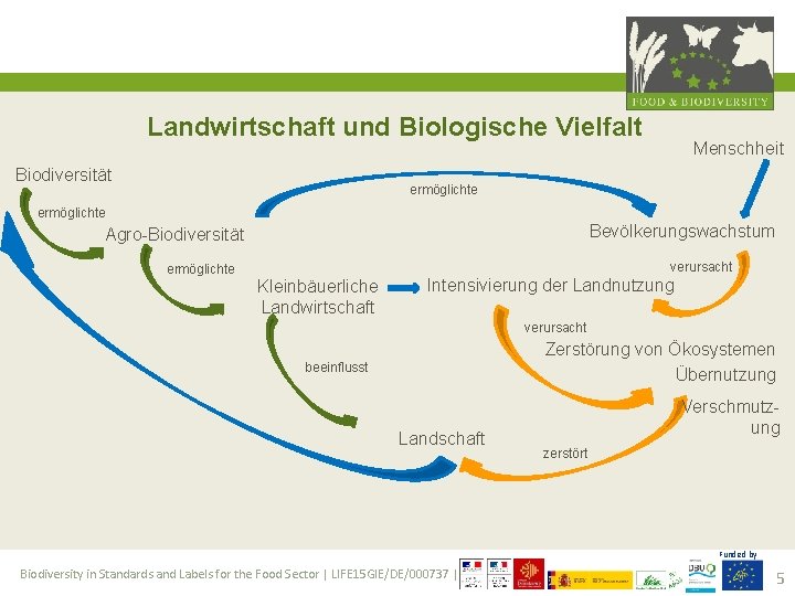 Landwirtschaft und Biologische Vielfalt Biodiversität Menschheit ermöglichte Bevölkerungswachstum Agro-Biodiversität ermöglichte verursacht Kleinbäuerliche Landwirtschaft Intensivierung