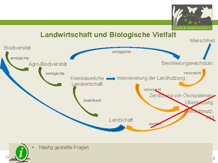 Landwirtschaft und Biologische Vielfalt Biodiversität Menschheit ermöglichte Bevölkerungswachstum Agro-Biodiversität ermöglichte verursacht Kleinbäuerliche Landwirtschaft Intensivierung