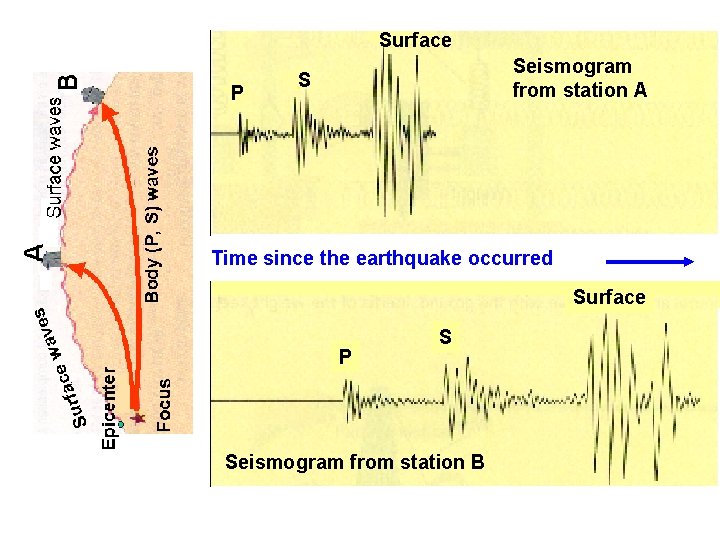 Surface P Seismogram from station A S Time since the earthquake occurred Surface P
