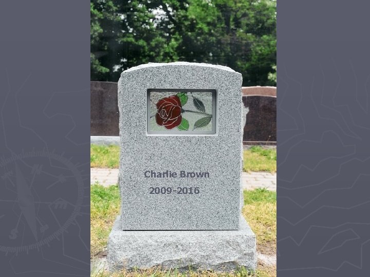 Charlie Brown 2009 -2016 