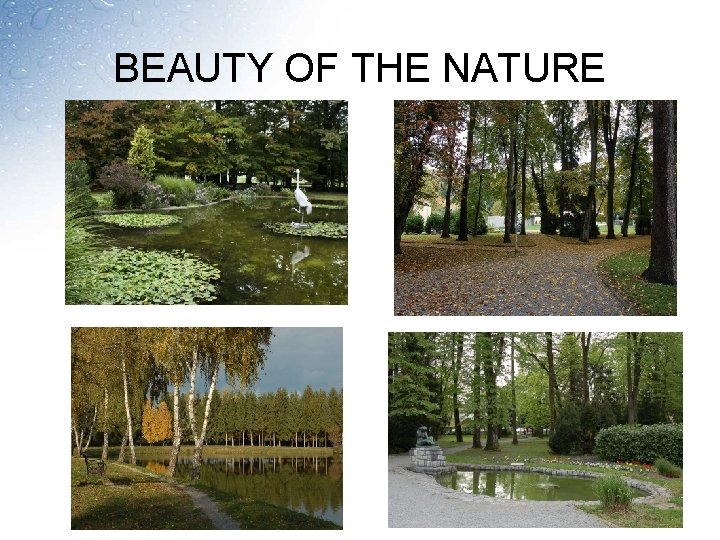 BEAUTY OF THE NATURE 