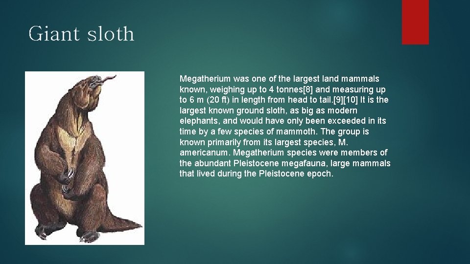 Giant sloth Megatherium was one of the largest land mammals known, weighing up to