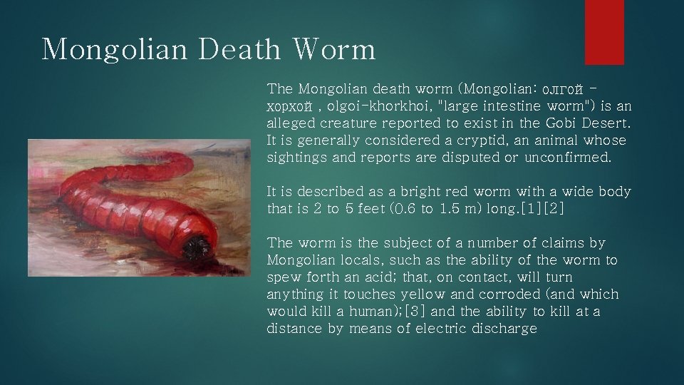 Mongolian Death Worm The Mongolian death worm (Mongolian: олгойхорхой, olgoi-khorkhoi, "large intestine worm") is