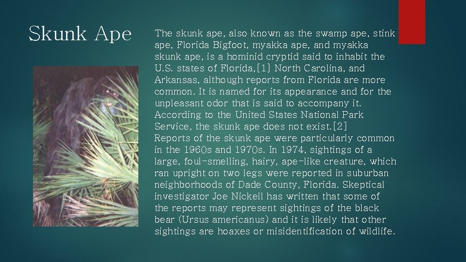 Skunk Ape The skunk ape, also known as the swamp ape, stink ape, Florida