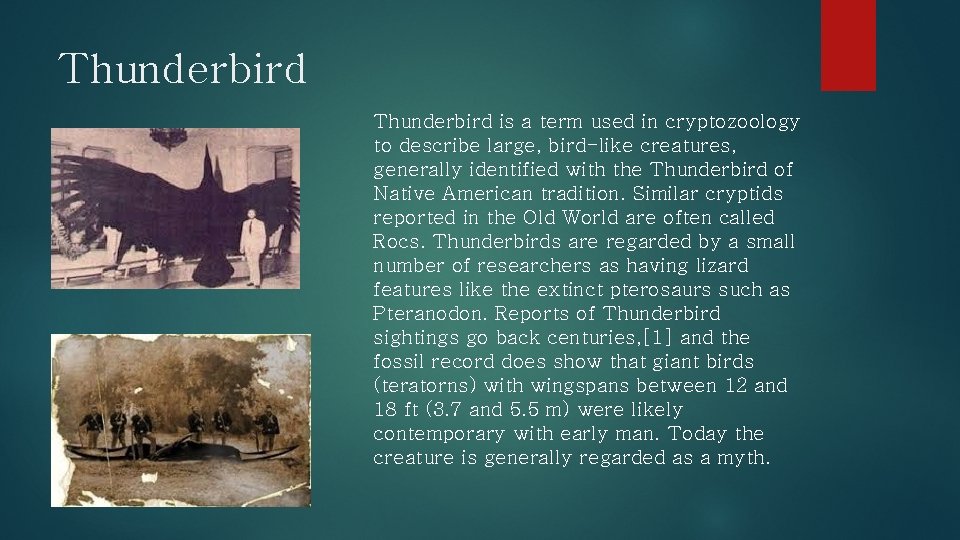 Thunderbird is a term used in cryptozoology to describe large, bird-like creatures, generally identified