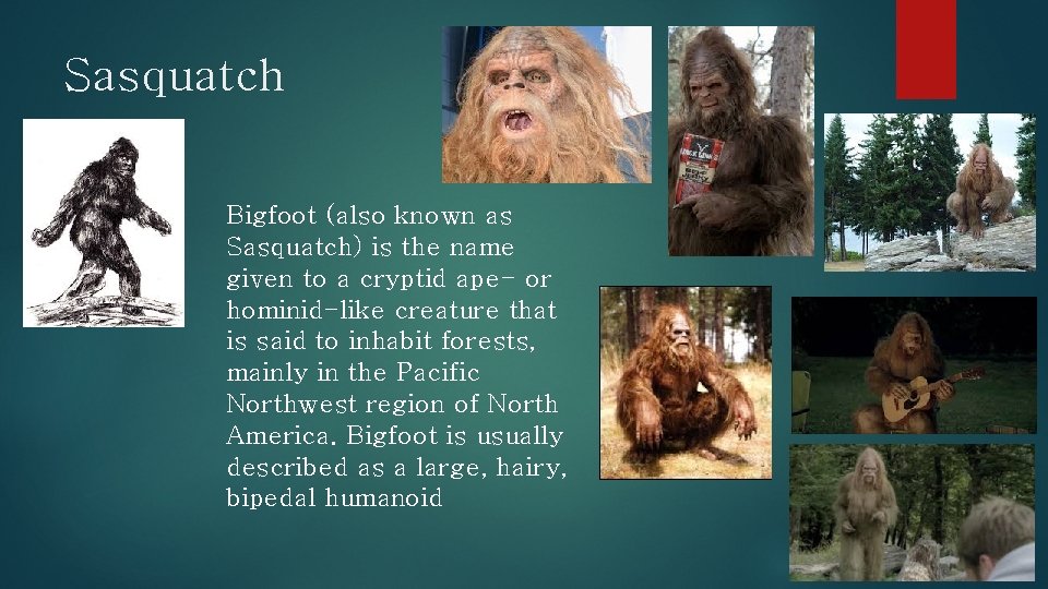 Sasquatch Bigfoot (also known as Sasquatch) is the name given to a cryptid ape-