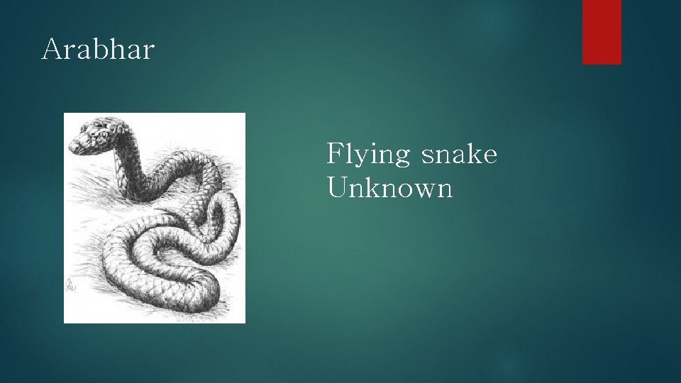 Arabhar Flying snake Unknown 