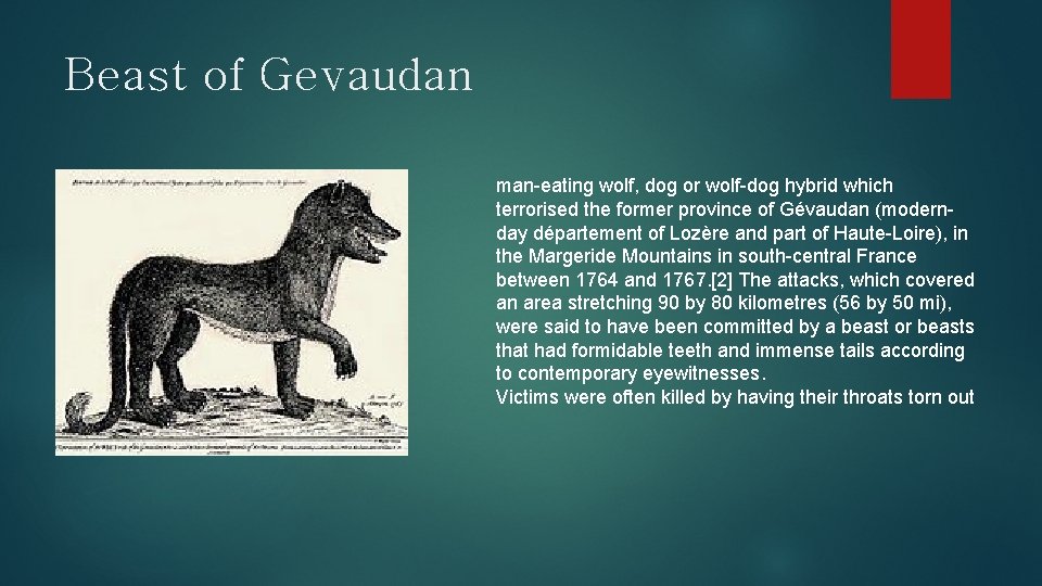 Beast of Gevaudan man-eating wolf, dog or wolf-dog hybrid which terrorised the former province