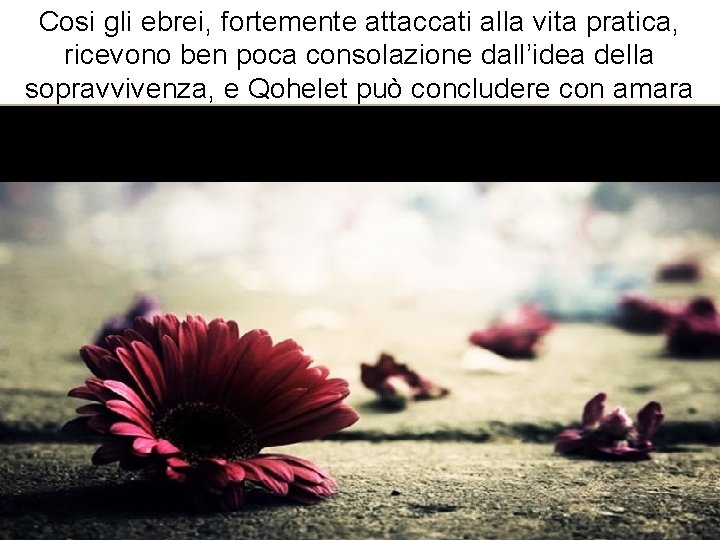 Cosi gli ebrei, fortemente attaccati alla vita pratica, ricevono ben poca consolazione dall’idea della